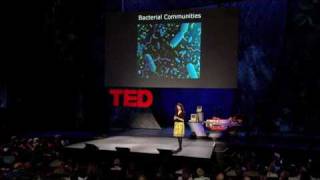 بونی باسلر در مورد گفتگوی باکتری ها صحبت می کند