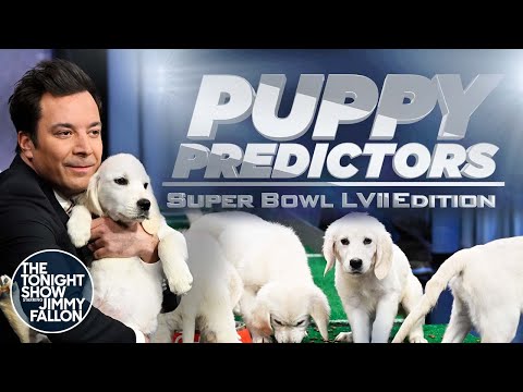Video: Pet Scoop: Lovestruck policajný dôstojník adoptuje šteňa, Fallon šteňatá Predpovedať Super Bowl