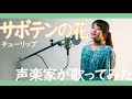 【1975】サボテンの花 - チューリップ【Covered by Nozomi】