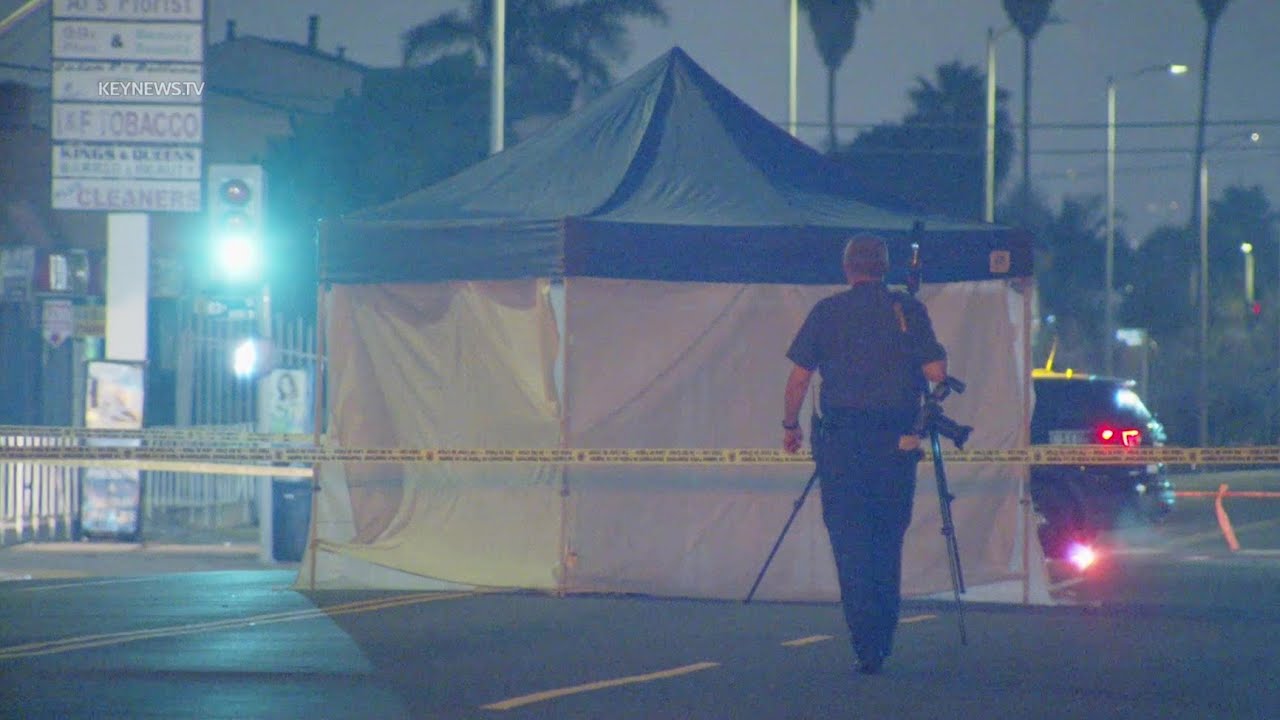 Pedestrian Killed in South Los Angeles Hit-and-Run Traffic Collision ...