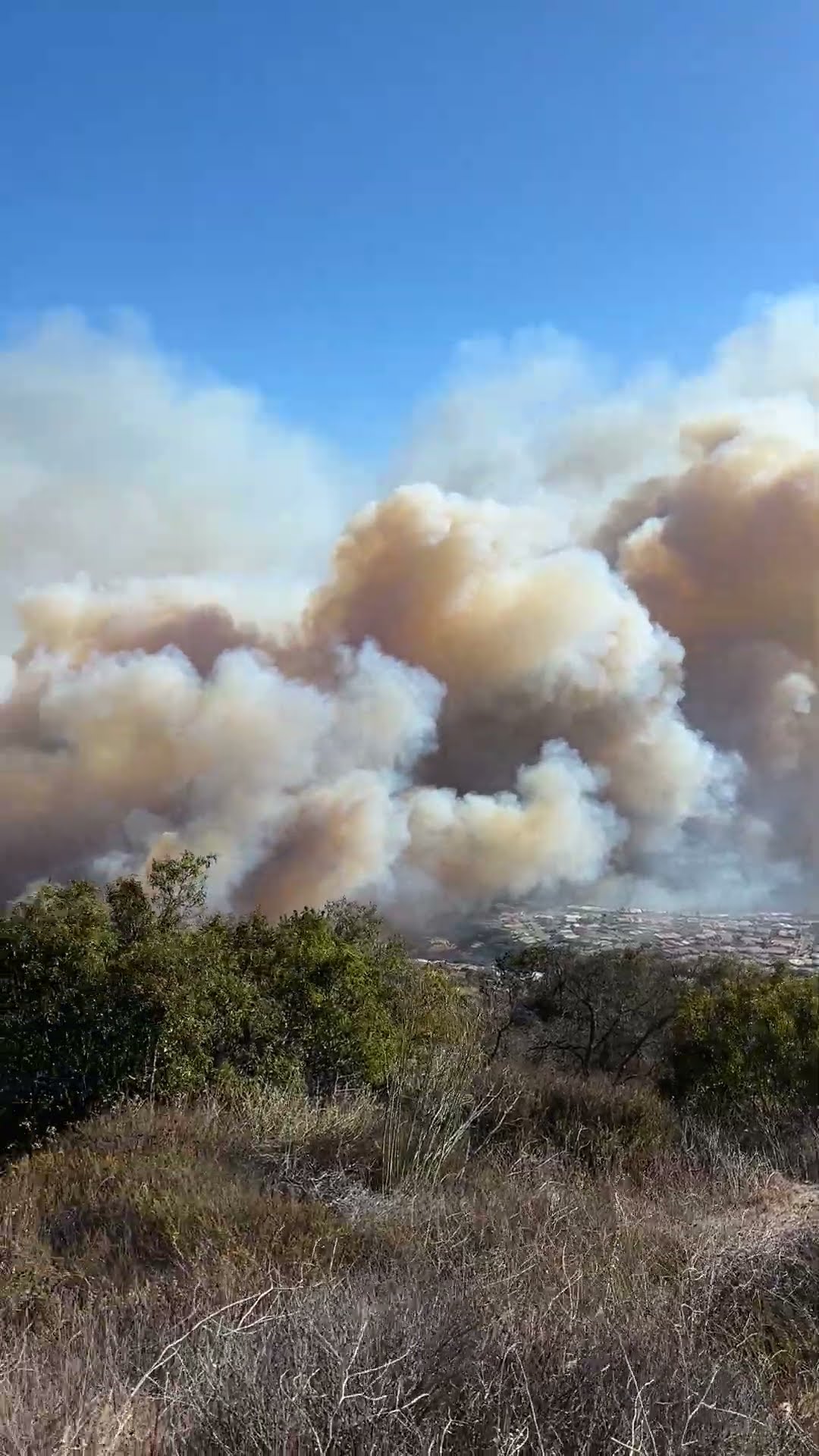 Overlooking Palisades Fire From Topanga State Park || ViralHog
