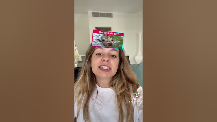 CHE ANIMALE SEI 🐻? NUOVO VIDEO DI NINNA E MATTI