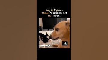 MANAGER VS ME 💪🤣 #code #foryou #meme #developer #programmer #coding #job #jobs #funny