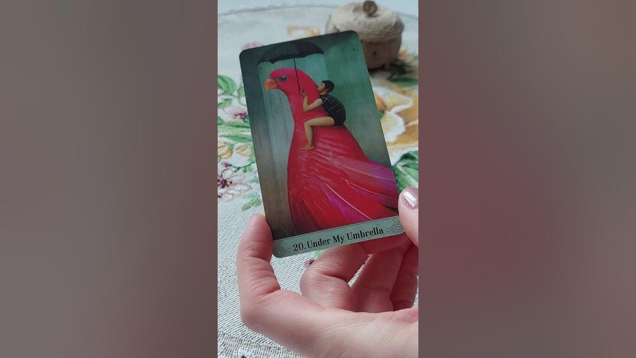 Женское ТАРО 🧚‍♀️ - YouTube
