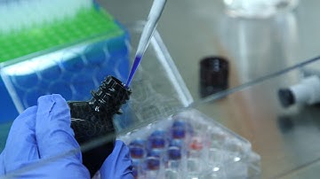 UVA:  Tissue Engineering Advances Hold Promise