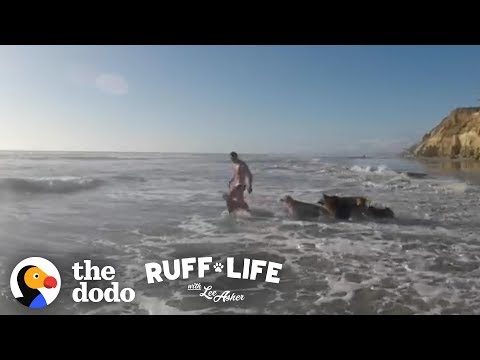 Lee Talks About What Really Happened On The RV Trip | Ruff Life With Lee Asher - Lee Talks About What Really Happened On The RV Trip | Ruff Life With Lee Asher