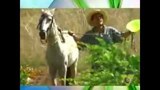 Video thumbnail of "VJ JOSFRED - Caballo Viejo - Los Reyes De La Cumbia"