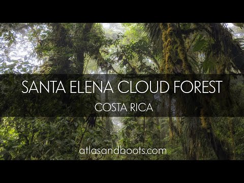 Santa Elena Cloud Forest Reserve, Costa Rica