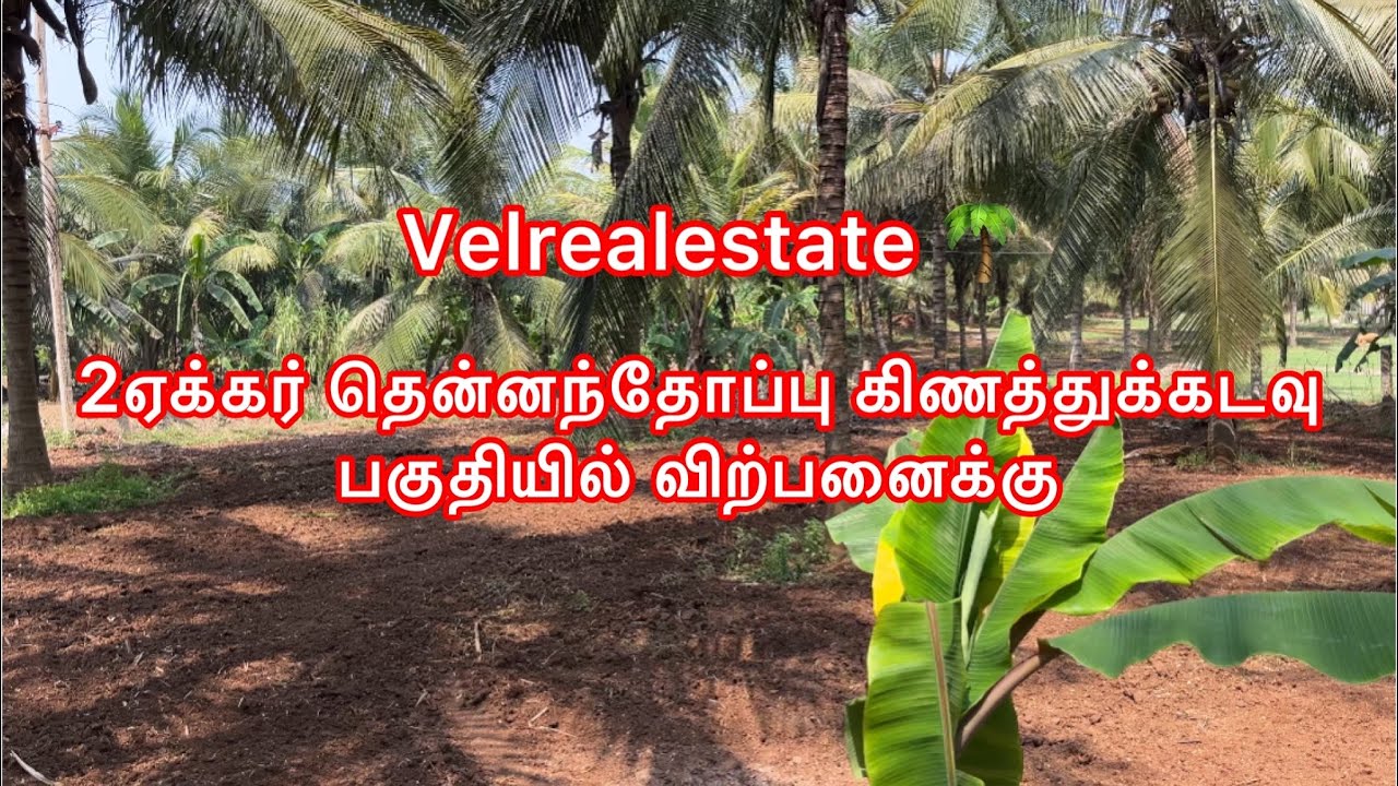 2ஏக்கர் தென்னந்தோப்பு கிணத்துக்கடவு பகுதியில் விற்பனைக்கு #coimbatore #realestate #pollachi