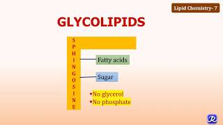 7: Glycolipids | Lipid Chemistry-7 | Biochemistry | N'JOY Biochemistry