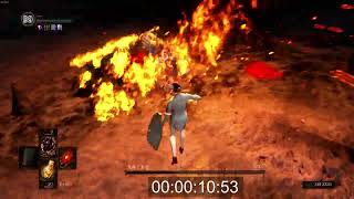 SL1 NG+6 +0weapon kill Gwyn in 17 second Dark Souls 1
