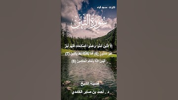 تلاوات مسجد قباء# سورة التين# الشيخ . د أحمد الغامدي