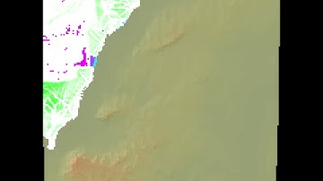 Hydrological simulation