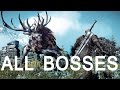 Witcher 3: All Bosses