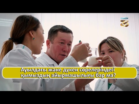 Бейне: Майдың айырмашылығы бар ма?