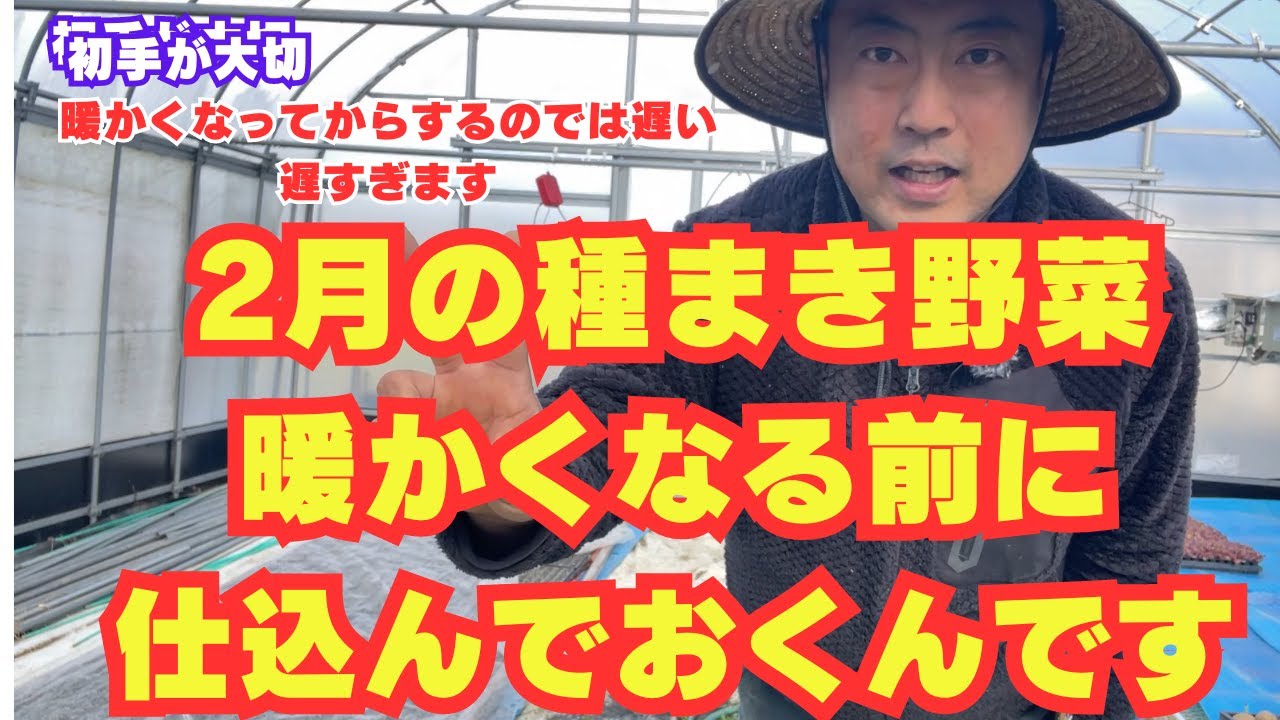 私の2月の種まき野菜の紹介と2月から始めれる野菜達