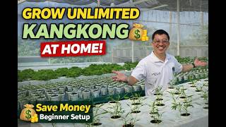 Grow UNLIMITED Kangkong at Home 💰 | Save Money with This Simple Hydroponics Setup (Beginner Guide)