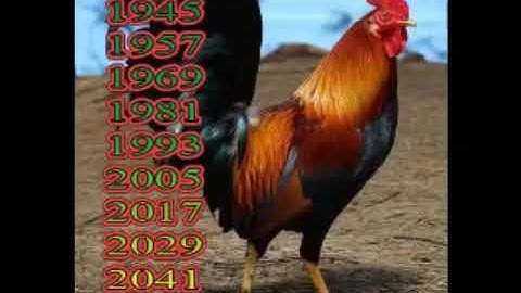 yug qaib xyoo ntawm 7hnub