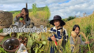 Download Lagu กินข้าวที่ไร่สวนกินกับอะไรก็อร่อย,ฤดูเก็บเกี่ยวข้าวไร่//มีตูสาวอาข่า MP3 Download Lagu กินข้าวที่ไร่สวนกินกับอะไรก็อร่อย,ฤดูเก็บเกี่ยวข้าวไร่//มีตูสาวอาข่า MP3