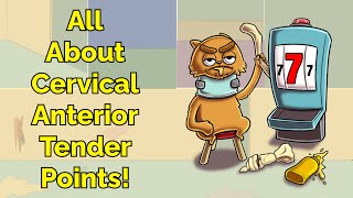 All About Cervical Anterior Tender Points! (Step 1, COMLEX, NCLEX®, PANCE, AANP) screenshot 3