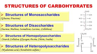 Structures of Carbohydrates | Structures of Monosaccharides, Disaccharides and Polysaccharides