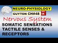 Ch48 physiology guyton  neurophysiology  somatic sensations  tactile senses  sensory receptors