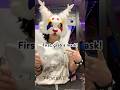 How to make a mask :) #fyp #viral #furry #therianthropy #therianmask #fursuit #foryoupage #therian