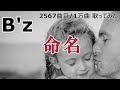 ソシテカ【 2567曲目/1万曲】命名(B'z)
