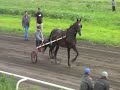 цыганские беги прокопьевск , 24.08.2016г