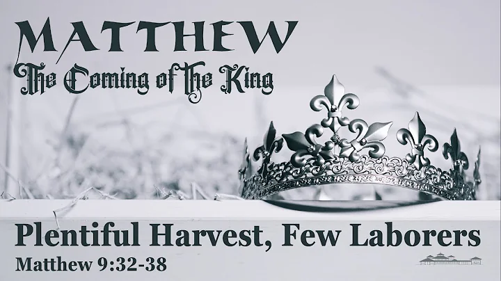 Catholic Mass Gospel and Reflection for July 9, 2024 - Matthew 9:32-38  Jesus Heals One Who Was Mute