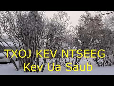 Video: Geometrization Ntawm Kev Txiav Txim Hauv Kev Ua Haujlwm Ntawm I.A. Fomin Thiab V.A. Shchuko 1920-1930s