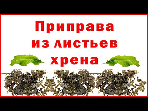 Приправа из листьев хрена - Horseradish leaf seasoning