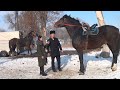 Кыргызстандагы эн салмактуу жана бийик тулпар