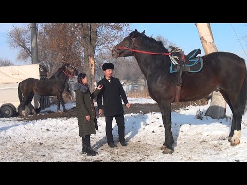 Video: Бийик жана бийиксиз: мен кантип баңгизатка берилгенмин - 2-бет