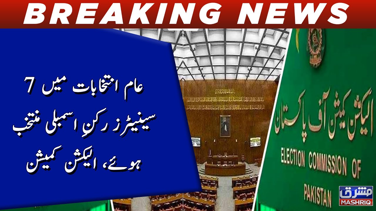 Seven senators elected as members of assembly in elections - YouTube