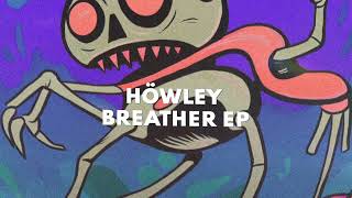 Höwley - Fuck It Up (Original Mix)