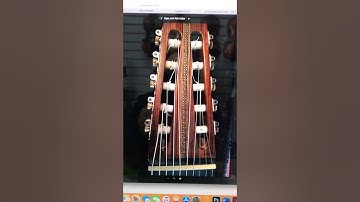 2014 Angelo Pedrini 10 string guitar video