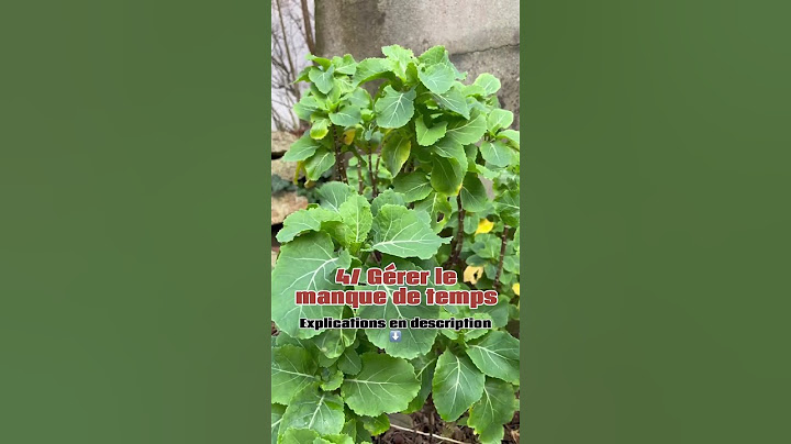 Le manque de temps peut parfois être un frein pour le jardinier débutant.
