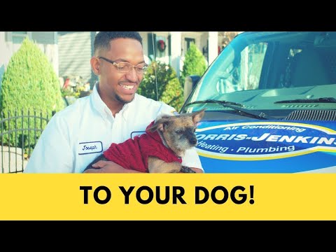 Mr. Jenkins Told Me... To Your 100 Year Old Dog! - TV Commercial