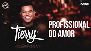 Tierry - Profissional do Amor chords