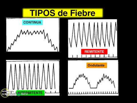 Vídeo: Ubi Planea La Fiebre Navideña