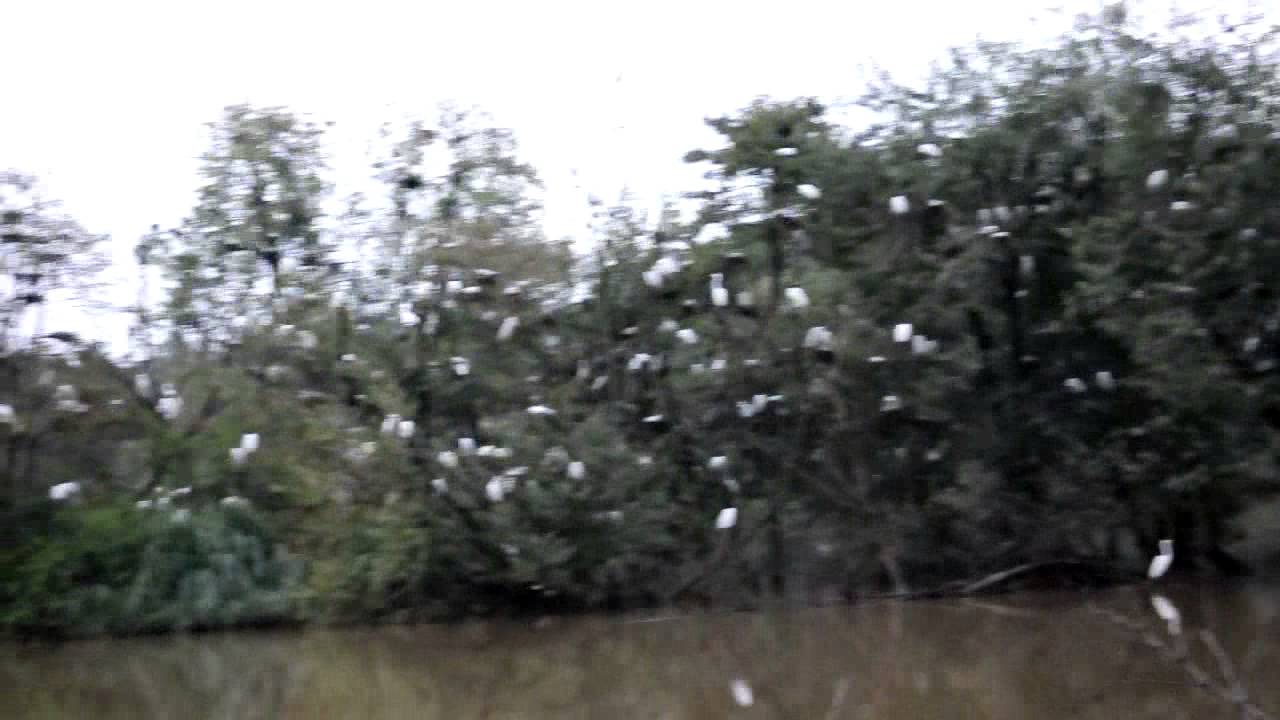 MANDAGADDE BIRD SANCTUARY, SHIMOGA MPEG 4