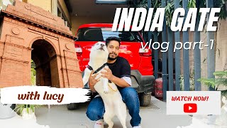 CAN WE TAKE DOG TO INDIA GATE ?      #viral #husky #dog #pets #cute #animals #vlog #indiagate