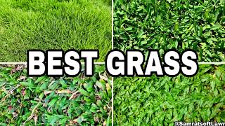 Top 10 Lawn Grass in India #samratsoftlawn #lawngrass #lawnindia #naturallawn #landscaping