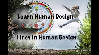 The Lines In Human Design/ HD 101: A Beginners Guide To Reading Your Human Design Chart/ Part 4