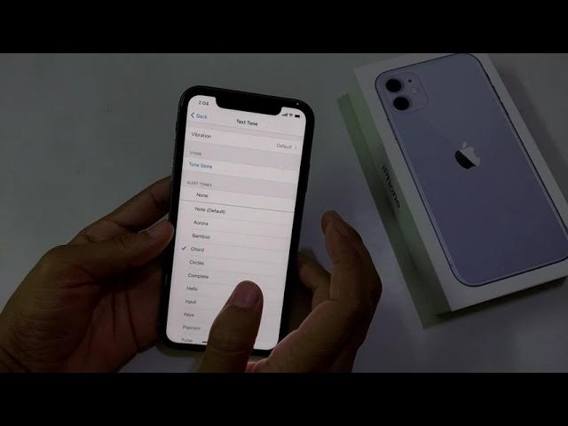 How to change message tone on iphone 11,11 pro,12 | iphone 11 ki message tone kaise change kare