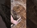 Perfect Wood Floor Leveling Process 🪵✨ #Flooring #Construction #Craftsmanship