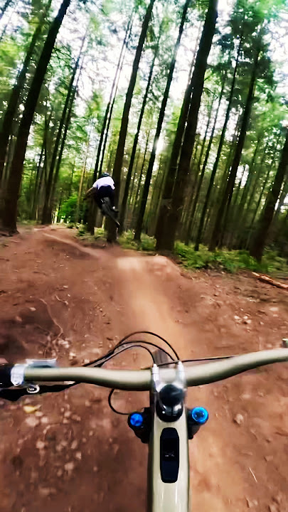 What a trail… 👑👏 #mtb #mountainbike #bike #bikelife