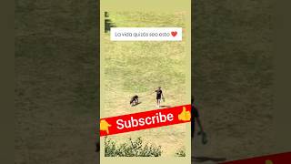 What Happens When You Sit With Your Dog