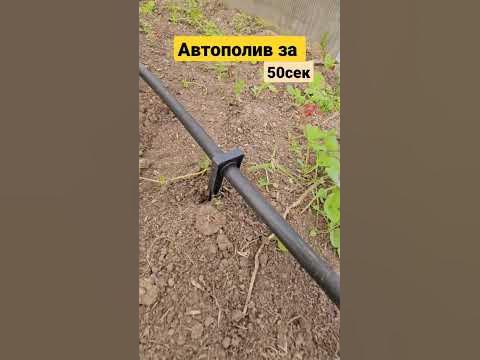 Автополив в теплице #дача365 #shorts - YouTube